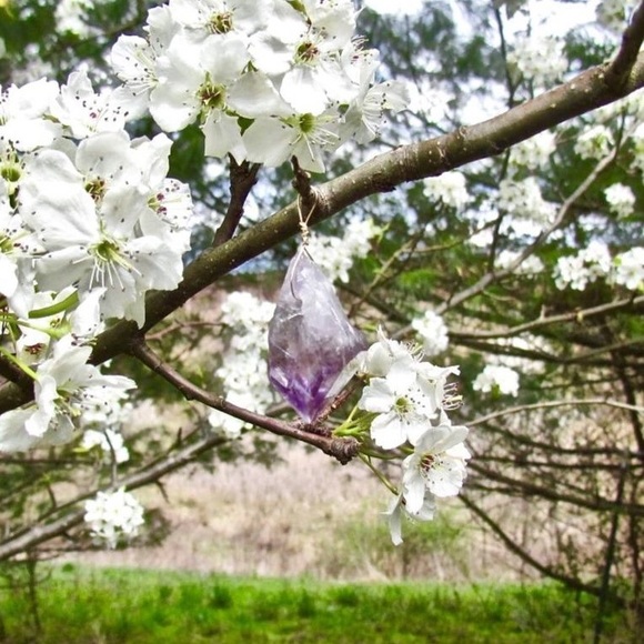 Welcome to Love Earth Energy! - Picture 4 of 8